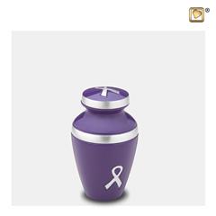 Awareness keepsake Purple&Bru Pewter