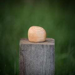 Knuffelkei Essenhout